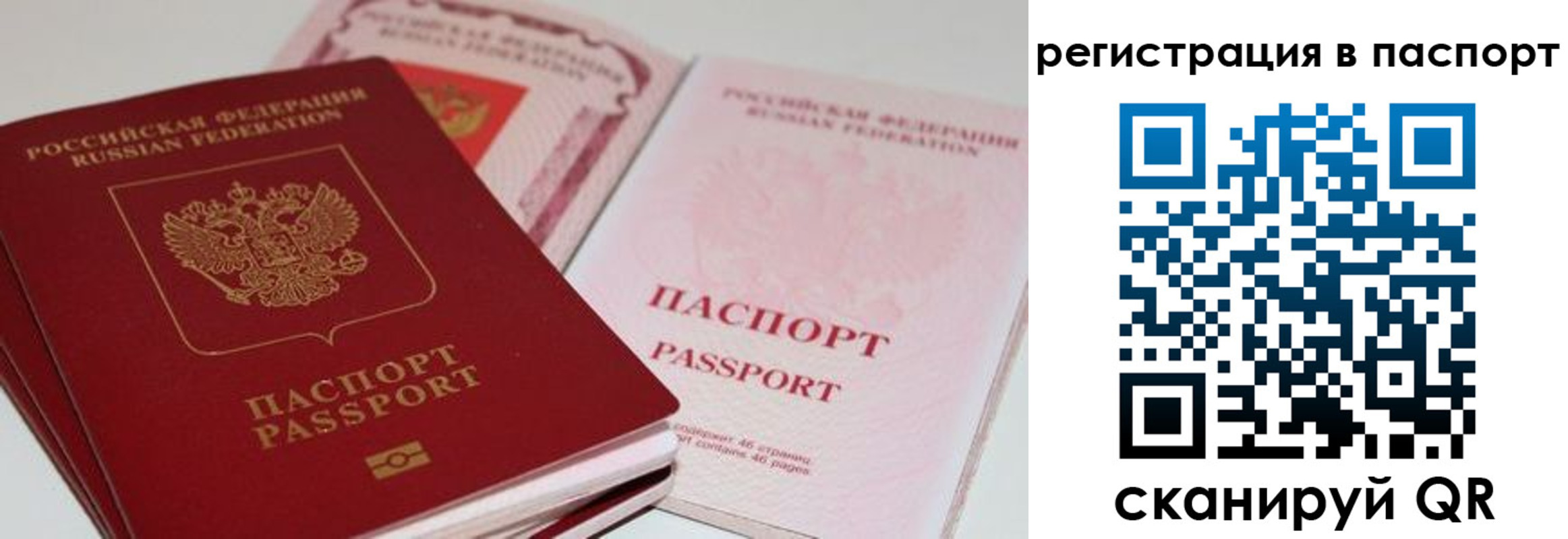найти адрес прописки в Алексине